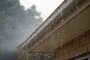 Why is it So Important to Clean My Gutters?
