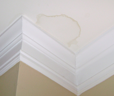 Water Stains/Leaking Ceilings