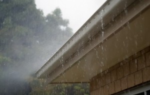 Cleaning and Maintaining Your Gutters