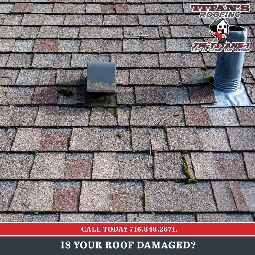 Read more about the article Fix your roof ASAP!